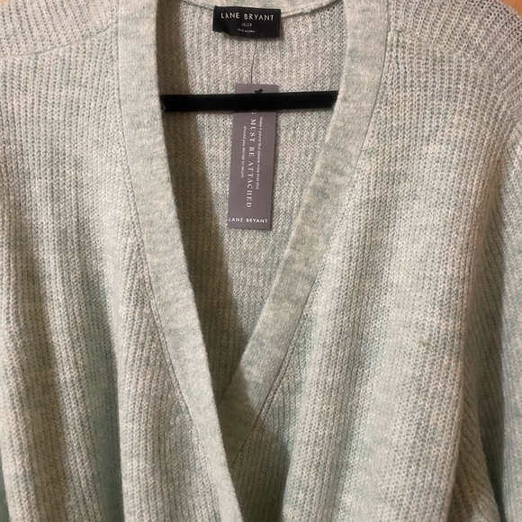 Lane Bryant Soft Sea Green (18/20) V-neck Knit Cozy-core Sweater Dress - Picture 10 of 13